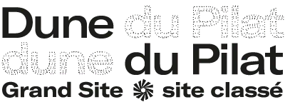 DDP-LOGO